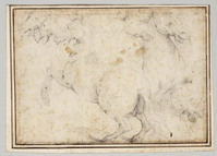 KT 2005 010
<br/>
Studie van paarden en vogels
<br/>
<em>Anoniem It (17de eeuw)</em>
